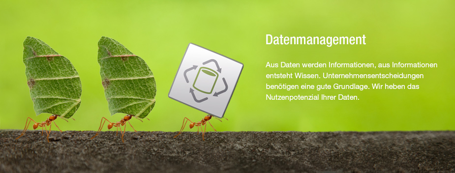 Datenmanagement